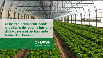 legumicultura baleni