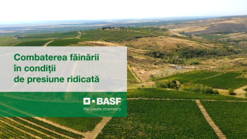 combatarea fainarii