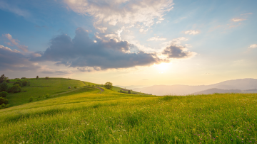 imagine pajiste soare iarba verde nori