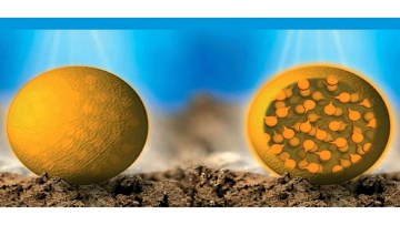 Erbicidul Stomp® Aqua se prezinta sub forma de microcapsule