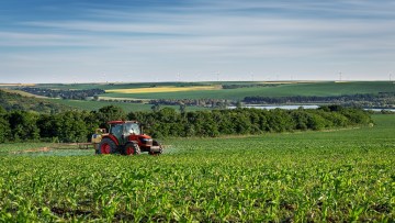 tractor in lan verde de porumb
