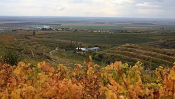 Colinele Dobrogei, zona viticola din Romania