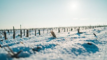 camp acoperit cu zapada