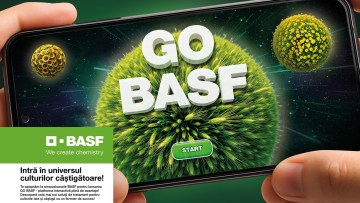 GO BASF