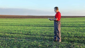 fermier pe camp verde