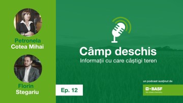 invitat florin stegariu strunga podcast camp deschis basf