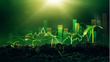 crestere agricultura romania