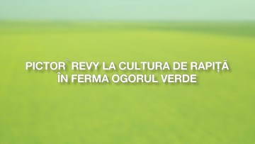 pictor revy ferma ogorul verde