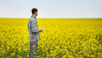 fermier in lan de rapita inflorita