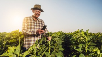 fermier pe camp subventii