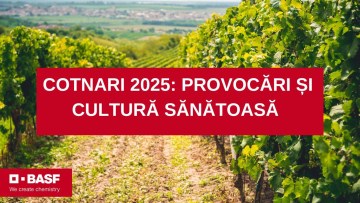 testimonial ingheturi tarzii cotnari