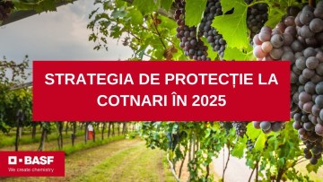strategie protectie vita de vie interviu cotnari