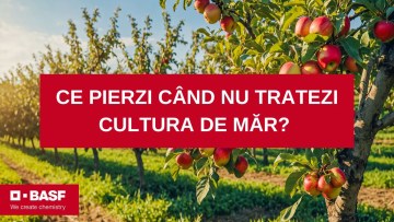 testimonial deleni cultura marului evaluare
