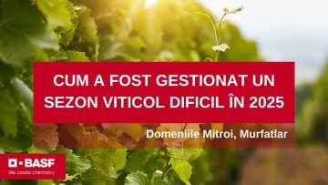 interviu domeniile mitroi murfatlar viticultura