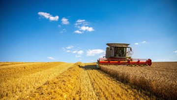analiza pietei agricole