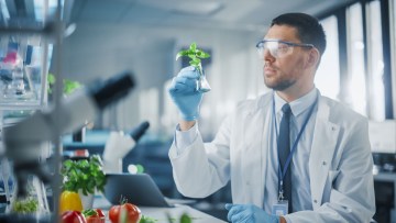 ANF laborator analize fitosanitare