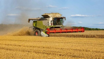 culturi agricole profitabile