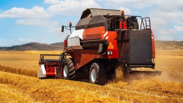 culturi agricole profitabile de toamna