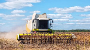 cultura agricola profitabila de floarea-soarelui