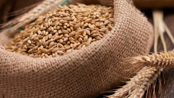 piata cerealelor bursa