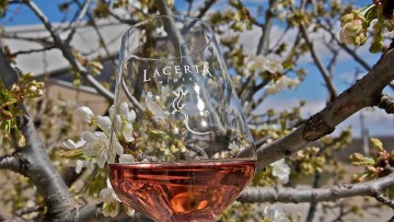 pahar de vin rose primavara