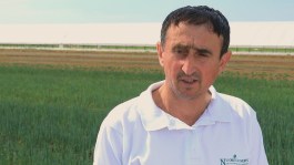 Ce spun fermierii: Dumitru Hristea