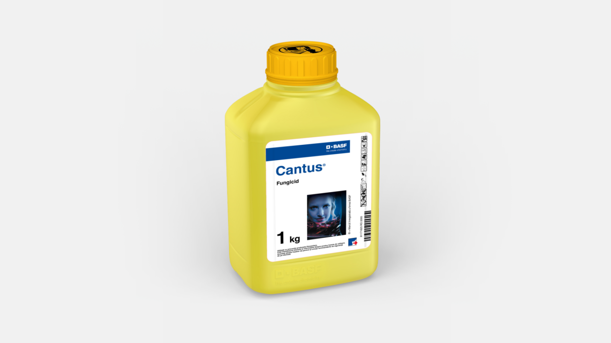 Cantus® - 58031419