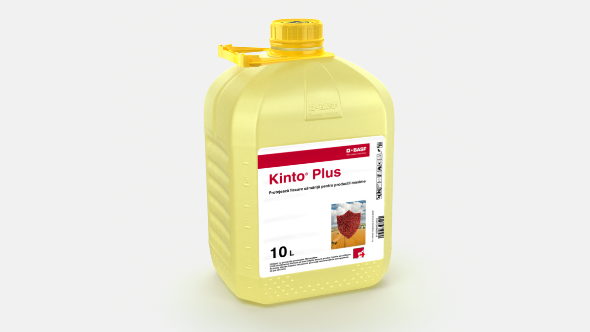 Kinto® Plus - 58065155