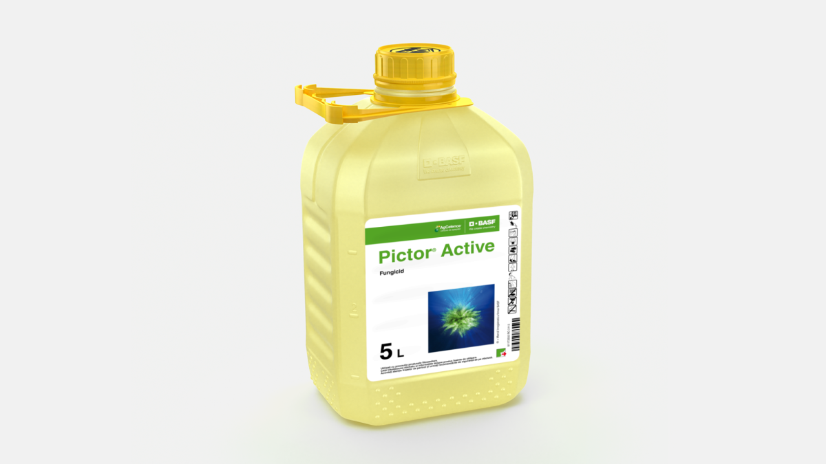 Pictor® Active - 58094988
