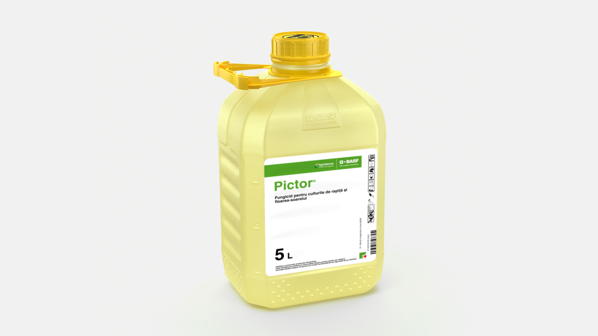 Pictor® - 58065018