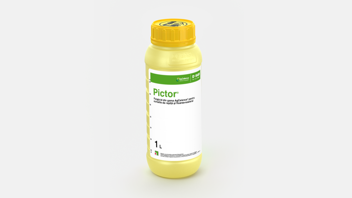 Pictor® - 58654432