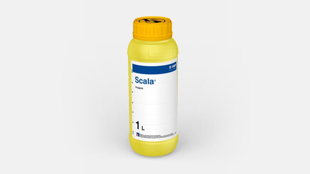 Scala® - 58270351