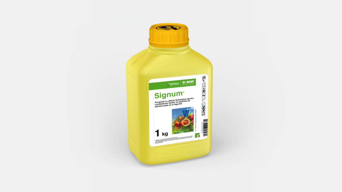 Signum® - 58256652