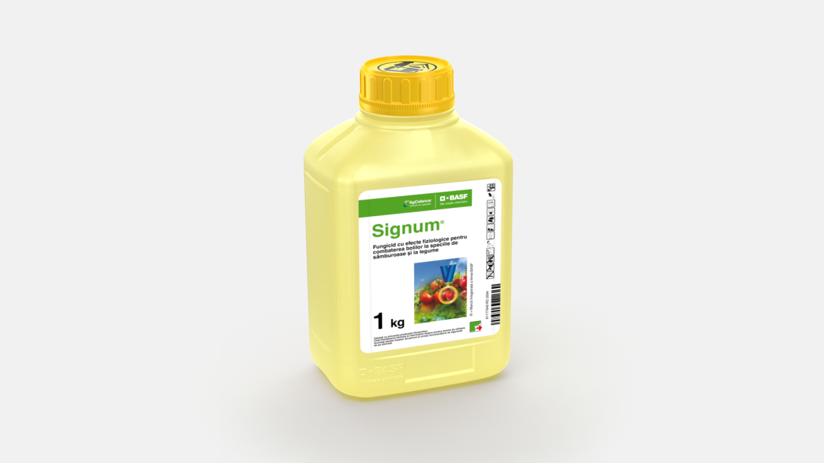 Signum® - 58256652