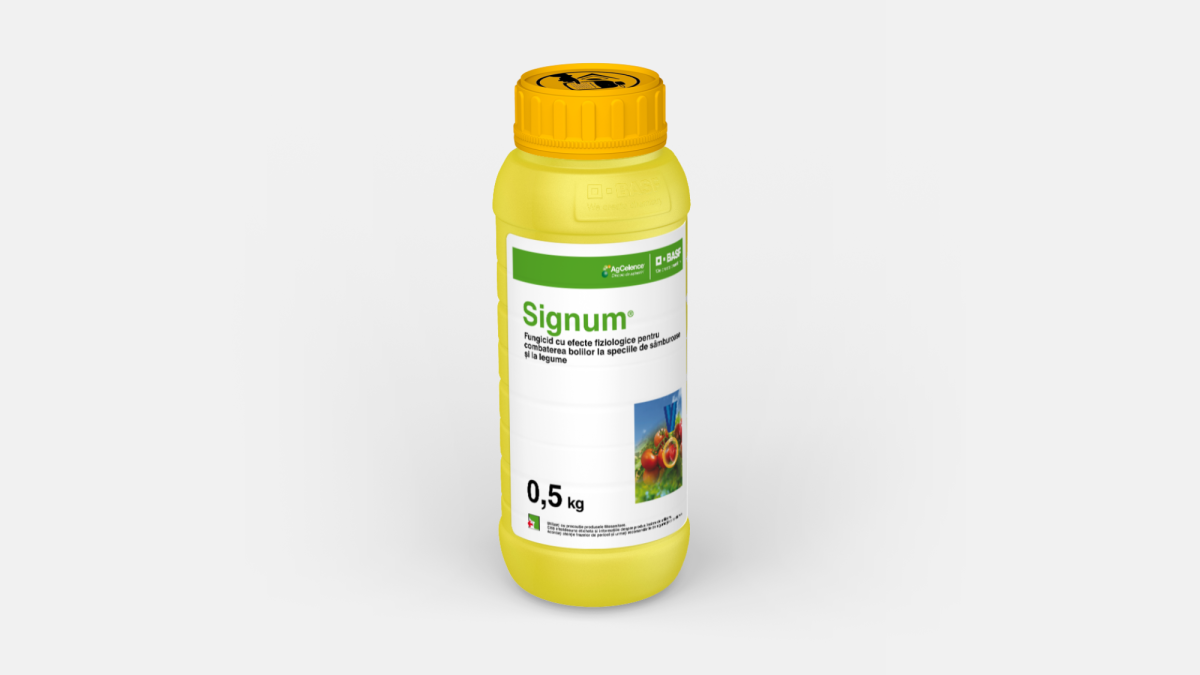 Signum® - 58972680