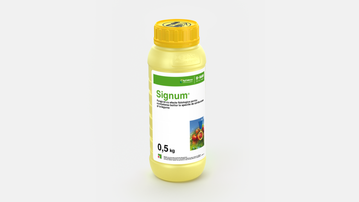 Signum® - 58972680