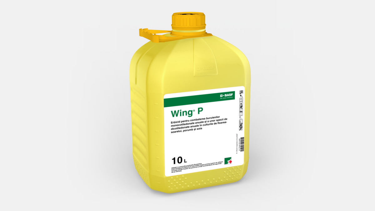 Wing® P - 58227836