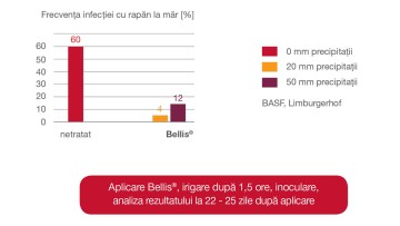 Bellis-rezultate-rapan-mar_360x203.jpg