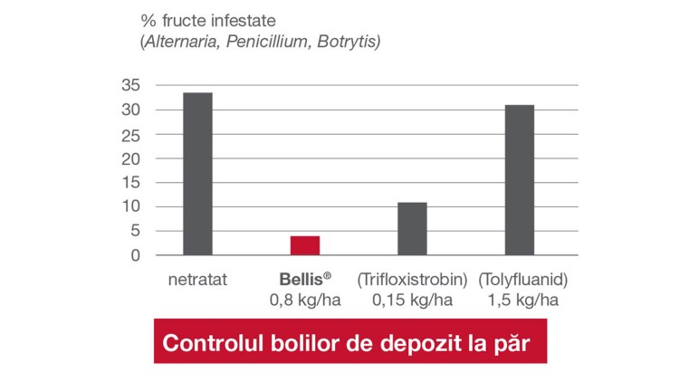 bellis-control-boli-depozit-par_750x422.jpg