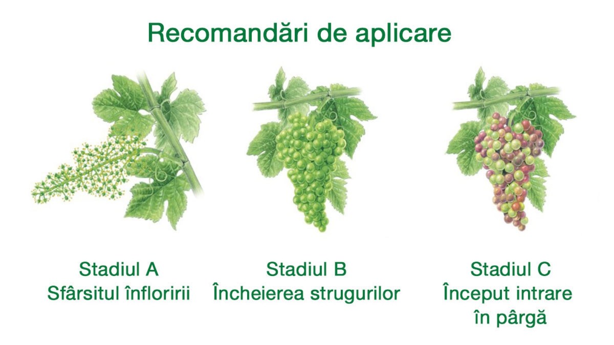 pierderea de grăsime față de transformare cum să piardă în greutate în timp ce culcat