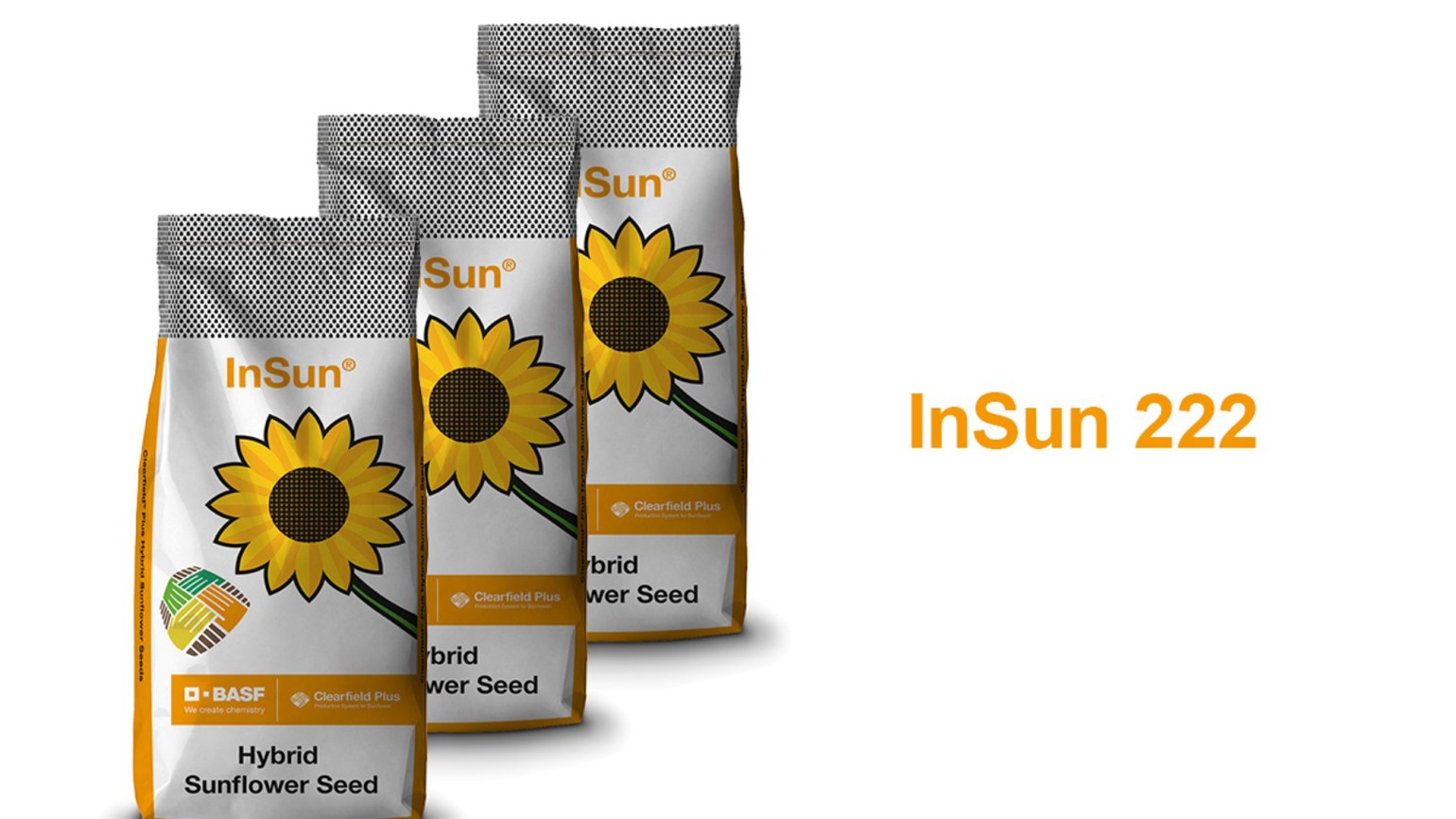 InSun 222 CLP - Hibrid de floarea soarelui - BASF