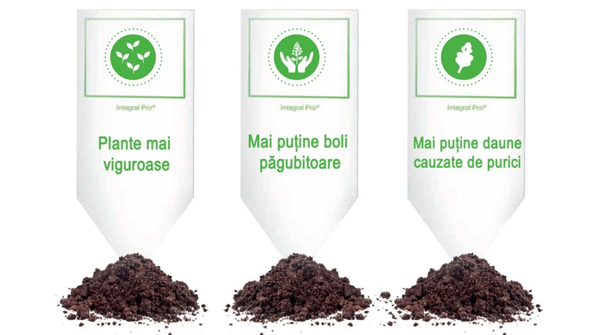 beneficii integral pro basf