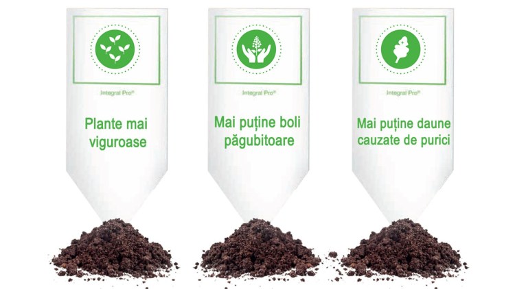 beneficii integral pro basf