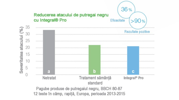 atac putregai rapita