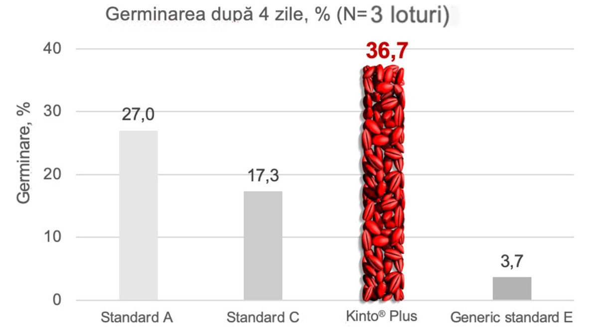 kinto plus