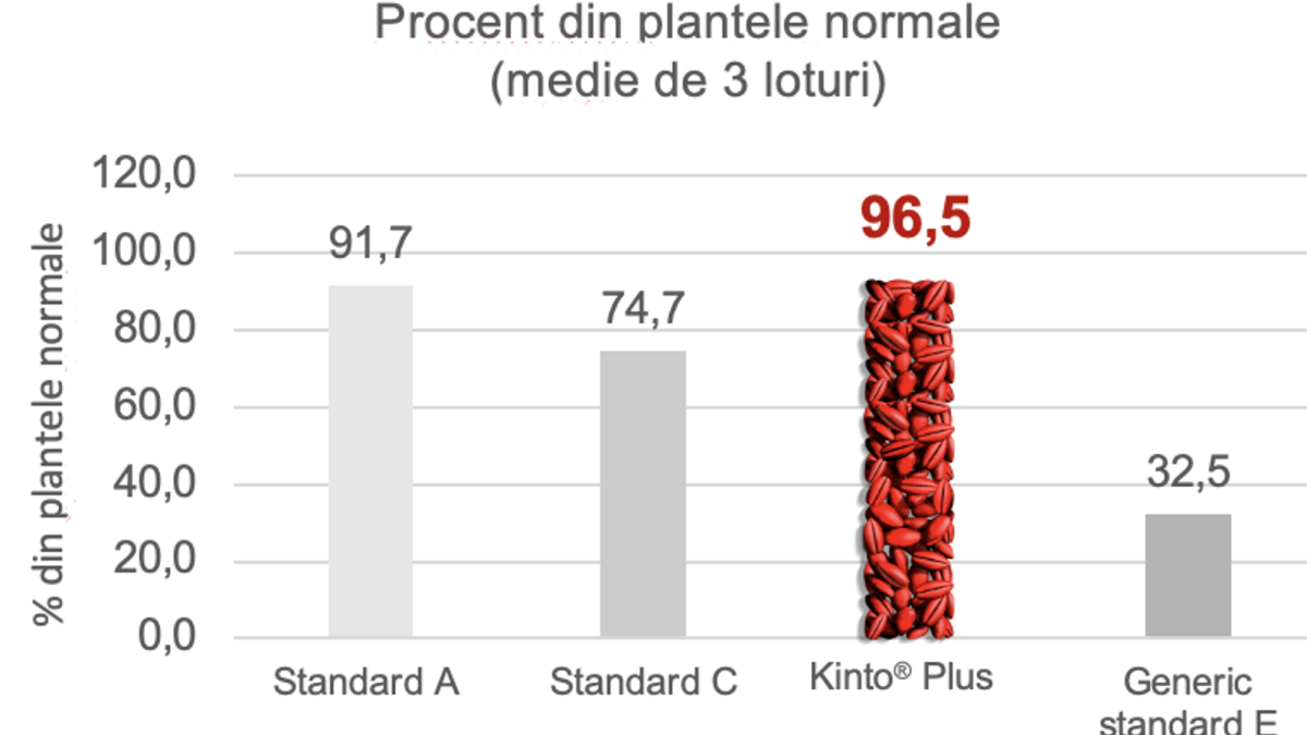 kinto plus tratament seminte