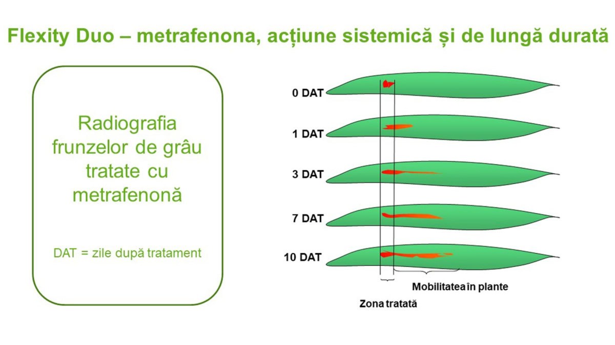 actiune substanta metrafenona