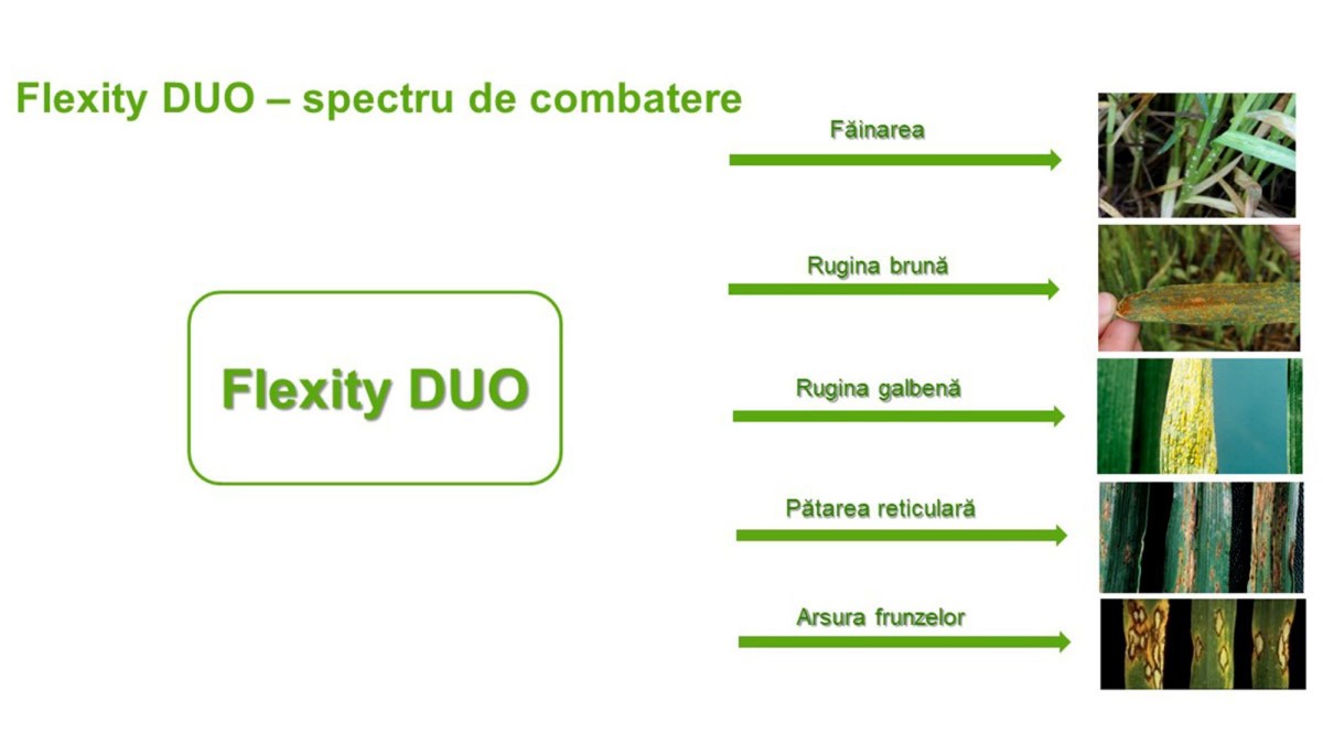 spectru combatere flexity basf
