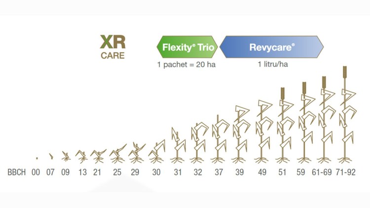 aplicare XRCare
