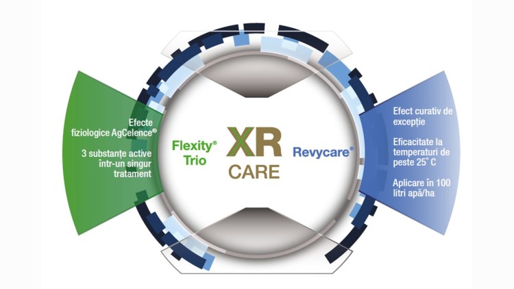 beneficii XR CARE